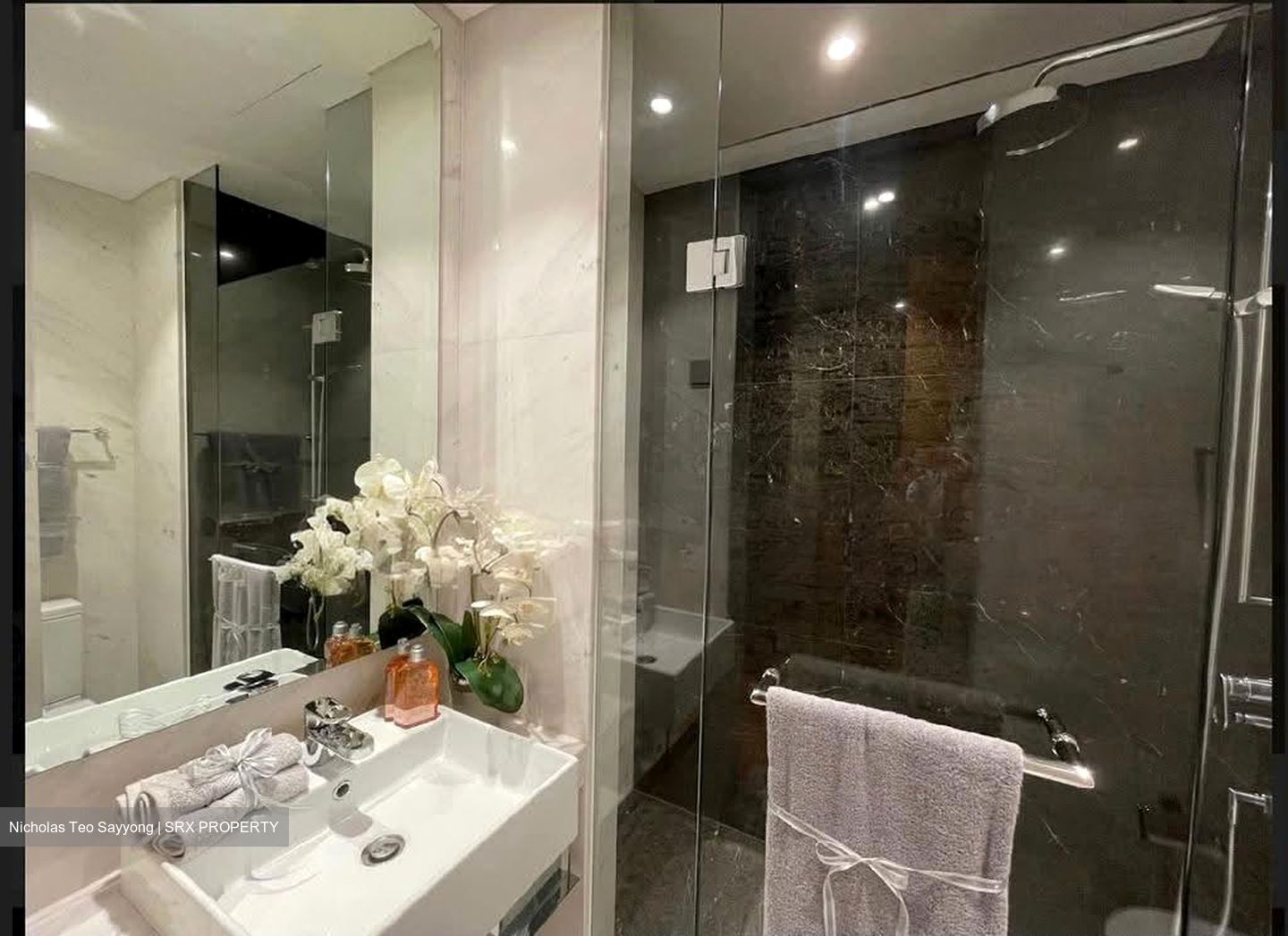 St. Regis Residences (D10), Apartment #565918221